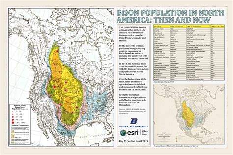 bison population by state.